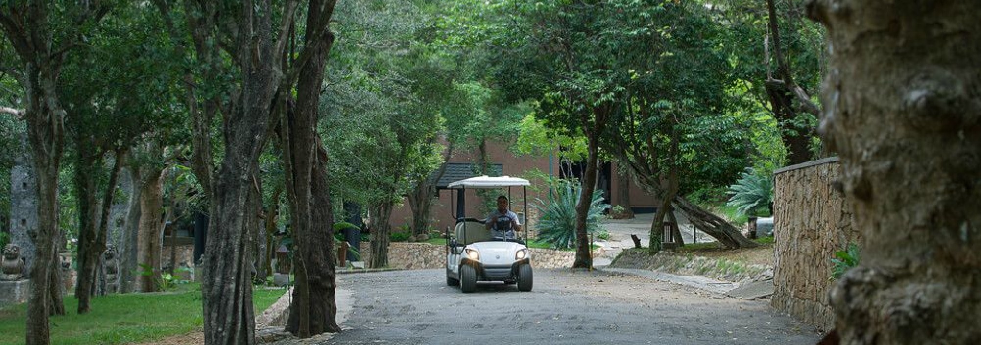 vervoer-deer-park-hotel-srilanka