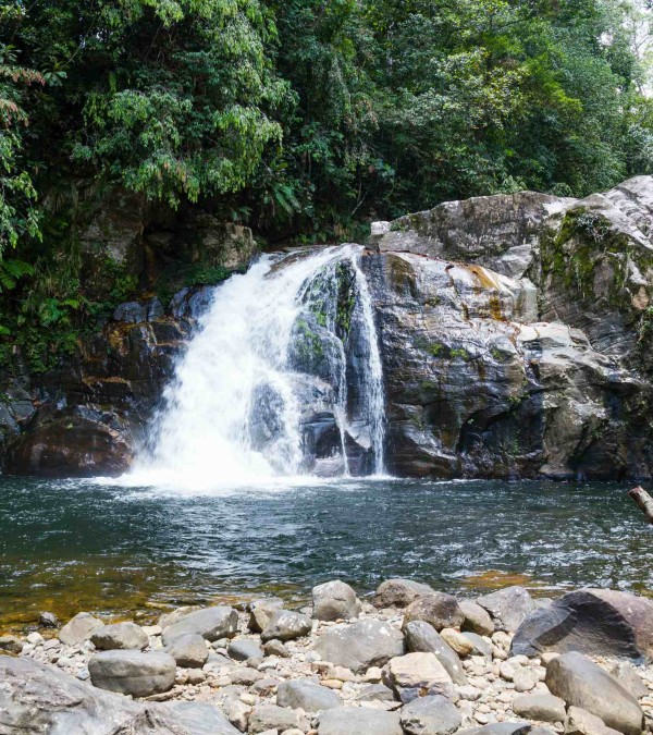 waterval-singharaja-rainforest-srilankatravel