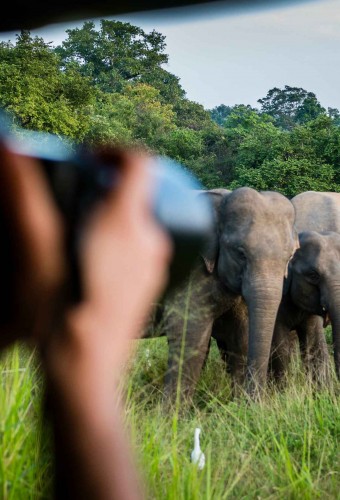 Rondreis Sri Lanka Individuele Rondreizen Sri Lanka Op Maat Sri