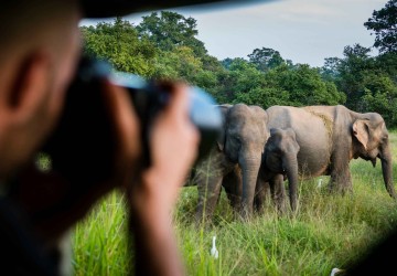 yala-national-park-olifanten-sri-lanka-travel