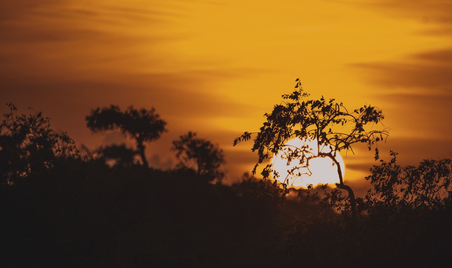 yala-national-park-unsplash-srilanka
