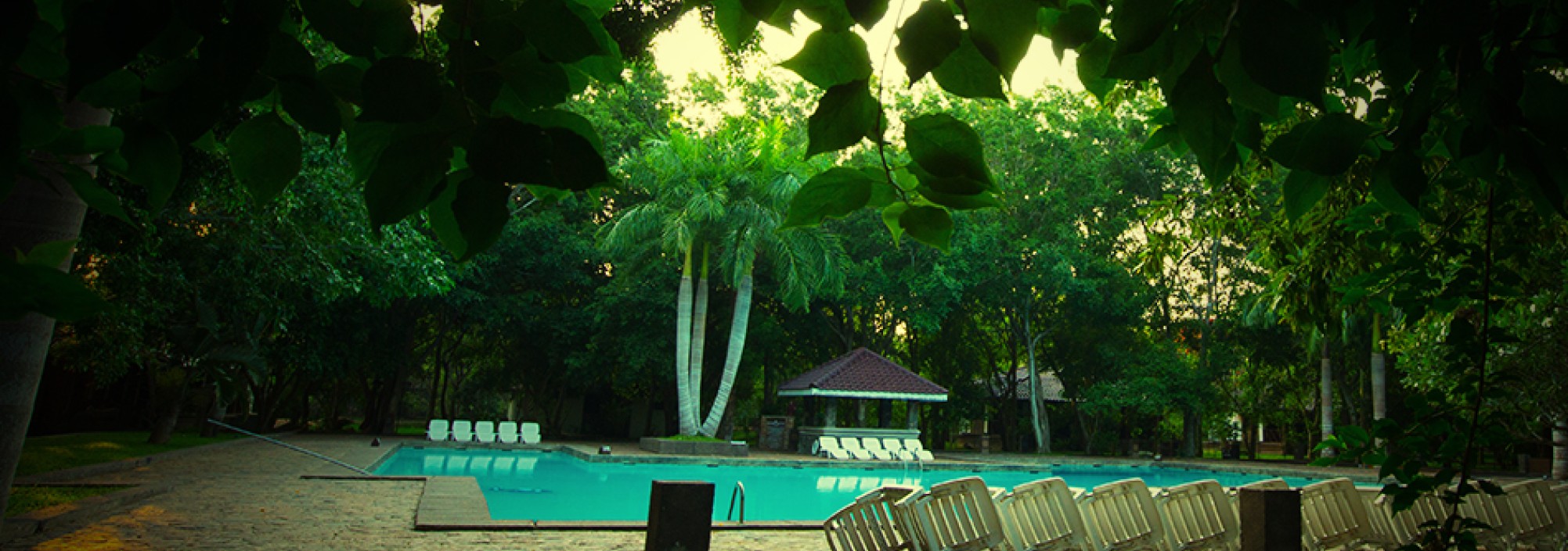 zwembad-palm-garden-village-anuradhapura