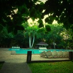 zwembad-palm-garden-village-anuradhapura