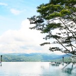 zwembad-randholee-resort-kandy